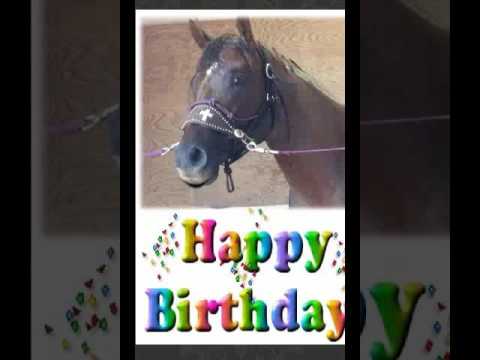 happy-birthday-singing-horse