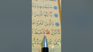 سورة محمد الأية 7 إلى 11 بصوت سعد الغامدي