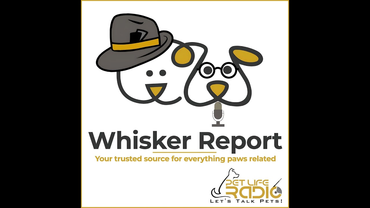Whisker Report - Episode 25 Feline Fine Design: Kate Benjamin’s Catified World