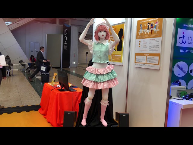 155cm 等身大 フィギュア等