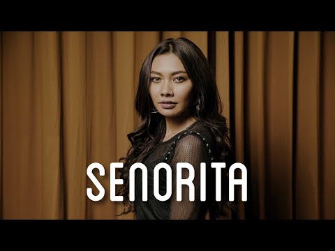 Shawn Mendes, Camila Cabello - Señorita [COVER] By Gam X Billbilly