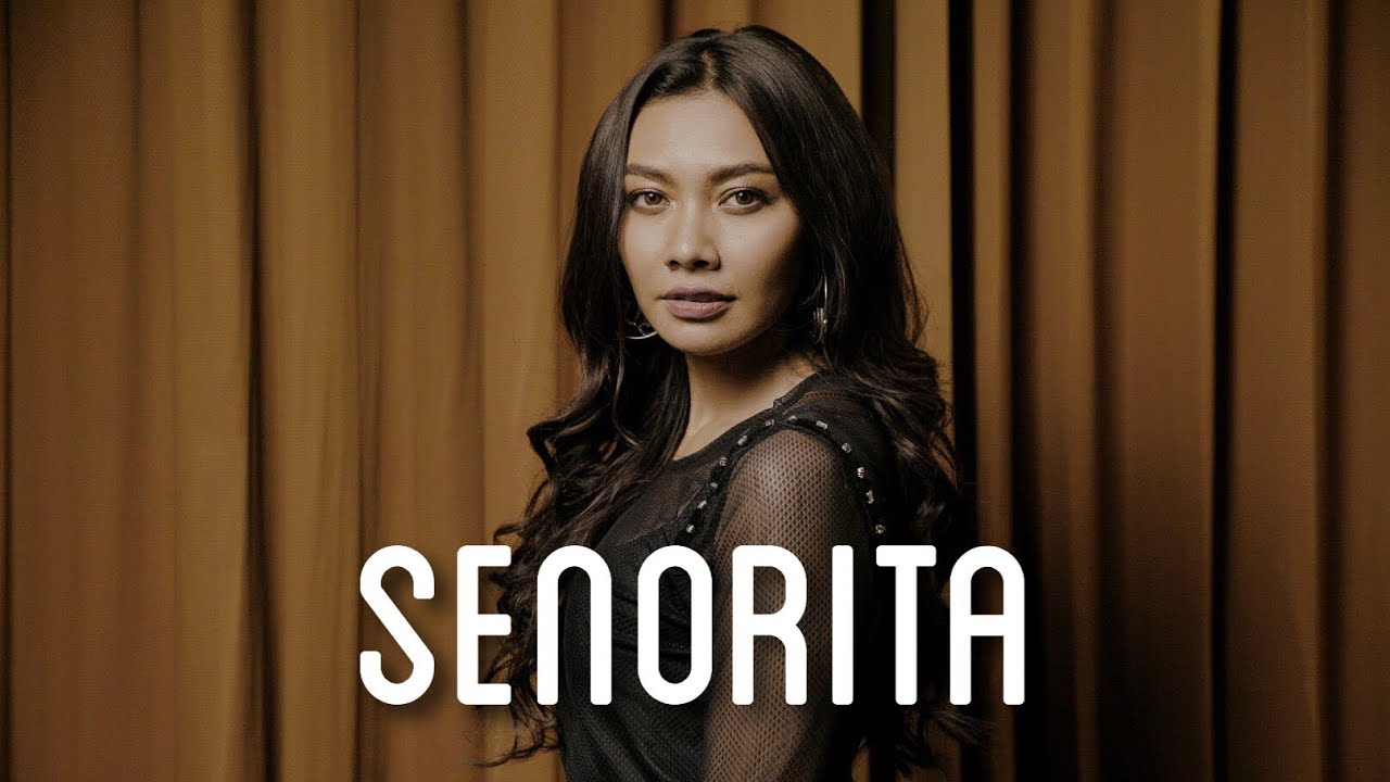 Shawn Mendes, Camila Cabello - Señorita [COVER] By Gam X Billbilly01