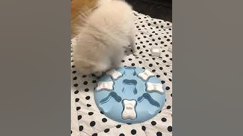 Outward Hound Nina Ottosson Puppy Smart Treat Puzzle Toy  Stimulating Interactive Dog