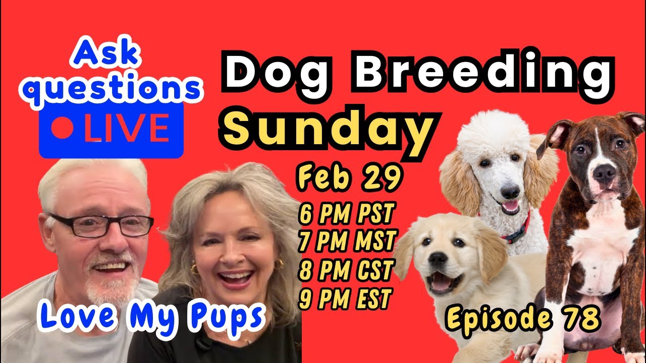 Love My Pups live sun mar1