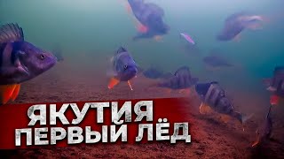 ПЕРВЫЙ ЛЕД в ЯКУТИИ! Удивительный ПОДВОДНЫЙ мир республики САХА