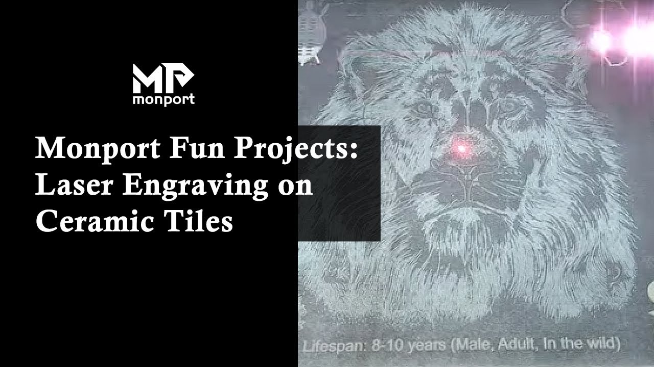Complete Tutorial on Engraving Ceramic Tiles with a 60W Fiber Laser #monportlaser