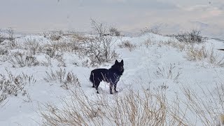 Поймать зиму в Ереване: прогулка по заснеженному Джрвежу