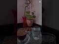 تعي نشرب قهوة عالمفرق     