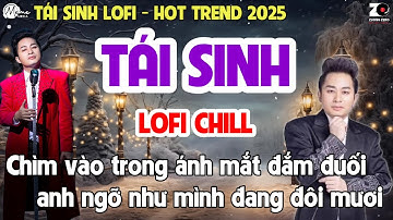 Tái Sinh Lofi - Tùng Dương | Chìm vào trong ánh mắt đắm đuối, anh ngỡ như mình đang đôi mươi...