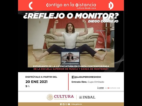 ¿Reflejo o monitor? Diego Consejo / ESMDM