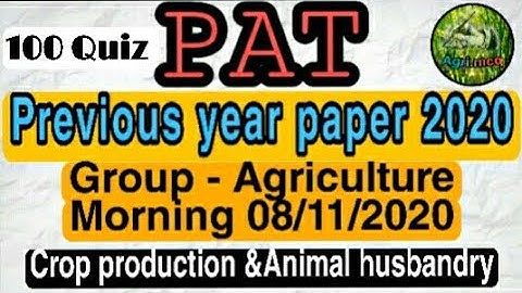 MP PAT Previous year questions paper 2020/08 Nov||Previous year solved  questions paper for pat 2020