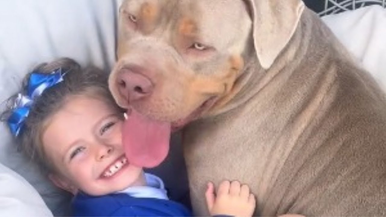 People Say This Dog Is Dangerous, But This Little Girl Changed Everything