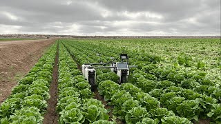 Watch the Amiga farm robot in use! 1 minute overview