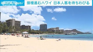 ワクチン接種進むハワイ　日本人客を待ちわびる現地(2021年7月10日)