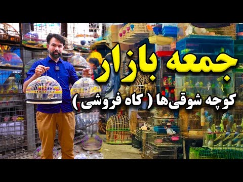 جمعه بازار کوچه شوقی ها کاه فروشی گزارش مجتبی عبدالرحیمزی