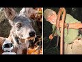 10 ЖИВОТНЫХ, в существование которых СЛОЖНО ПОВЕРИТЬ