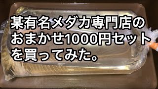 某有名メダカ店のおまかせ1000円セットを買ってみた