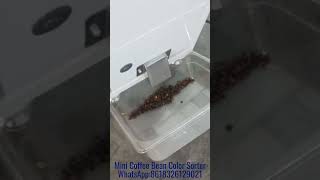 Coffee Sorter#coffee #coffeebeans #colorsorter #sortingmachine #agritech #sorting WA:8618326129021