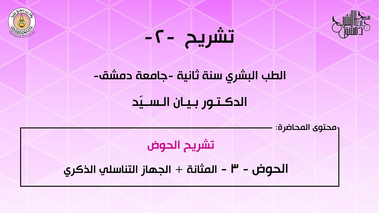 تشريح 2 | الحوض 3 | المثانة + الجهاز التناسلي الذكري | د.بيان السيد