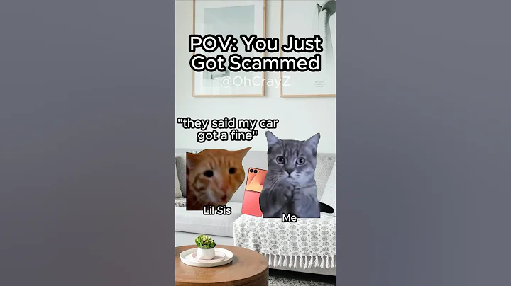 Video 11812521: funny cat family