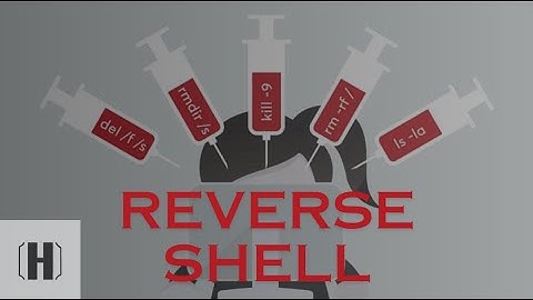 TryHackMe | From Command Injection to Reverse Shell