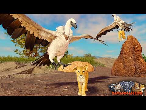 Vulture Stealing Lion Cubs! | ROBLOX Savannah Life