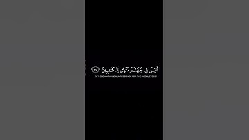سورة الزمر _ الآية 30 _ تلاوة رائعة _ ❤️📖🤲