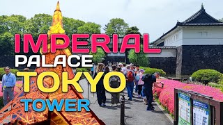 Japan - Tokyo, Imperial palace walking tour | Tokyo tower top deck tour overview Tokyo