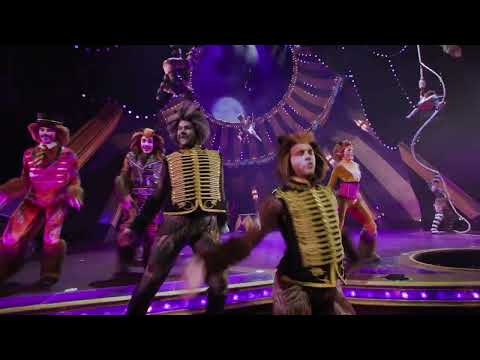 Jellicle Songs for Jellicle Cats from CATS at Paramount Theatre | Broadway Series #CircusCATSAurora