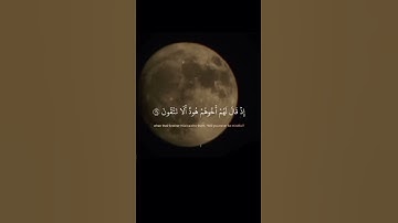 #oração #islam#ياسر_الدوسري #funny #اكسبلور #تلاوة_خاشعة #لايك #اسمعنا #قرآن #راحة_نفسية #fypシ#m
