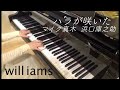 バラが咲いた ピアノ/マイク真木 浜口庫之助 (昭和41年)