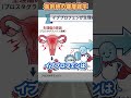 コスモスで見つけた激安イブプロフェンがヤバい件 #shorts