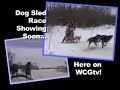 Birch River Dog Sled Race
