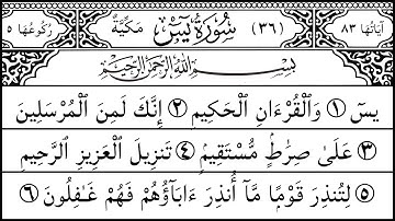 Surah Yaseen (Yaseen) | Calm Your Heart with Quran سورة يس