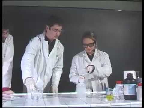 Polymere gel slime polyacrylamide