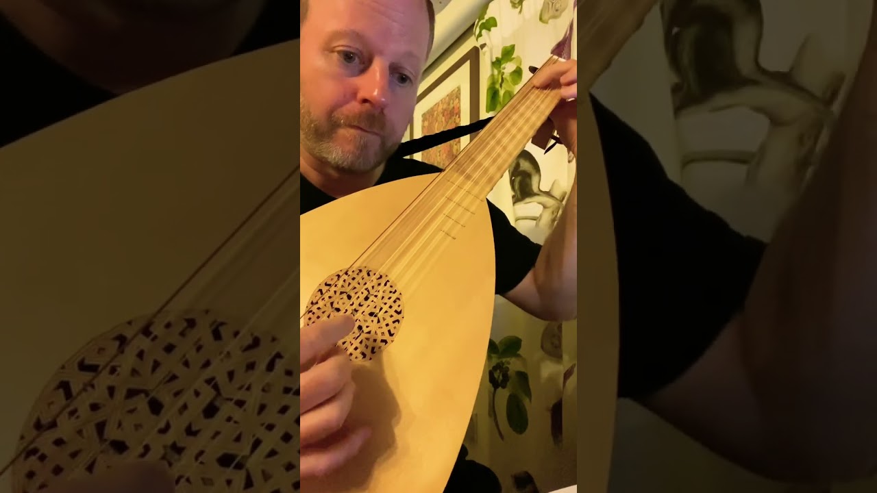 Renaissance Lute 