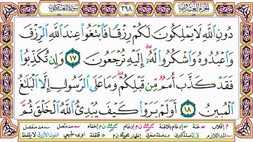 القرآن الكريم مقسم صفحات | الشيخ حاتم فريد | سورة العنكبوت | صفحة 398 مكتوبة | مصحف التجويد الملون