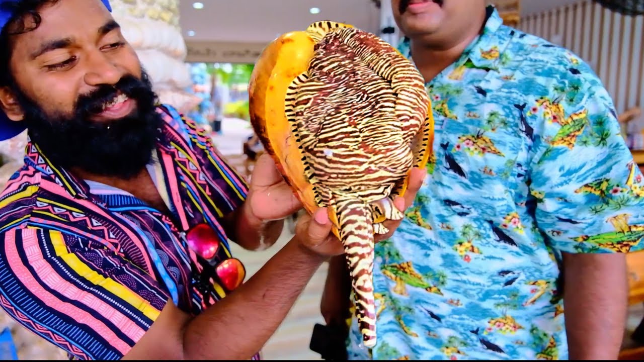Cooking Big Snail | ഭീകര ശങ്കിനെ ചുട്ടു കഴിച്ചപ്പോൾ | M4 Tech |