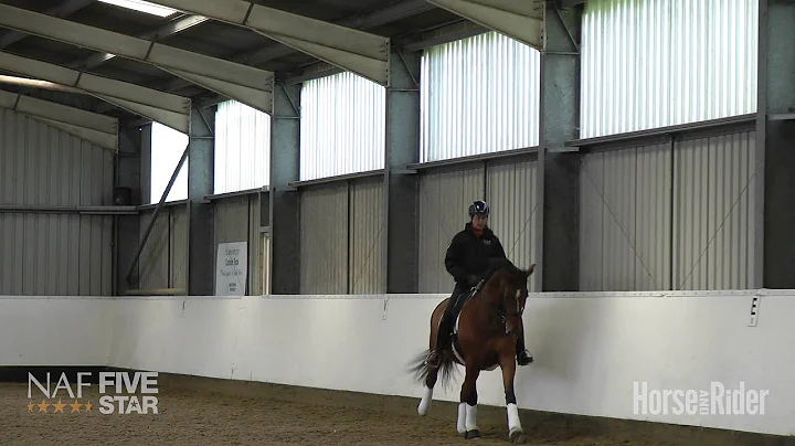Emile Faurie  Exercises for straightening your horse