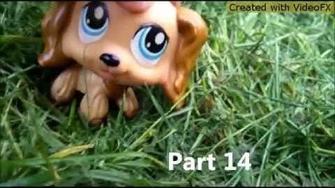 LPS : CLOSED MEP - This Is How We Do (by Katy Perry) Read Description