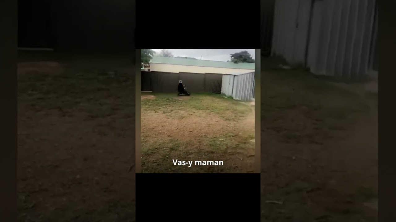 Craft Joke 14 (Shots №1) 