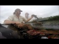 Kayak Bass Fishing (early morning spinner bait tactics)