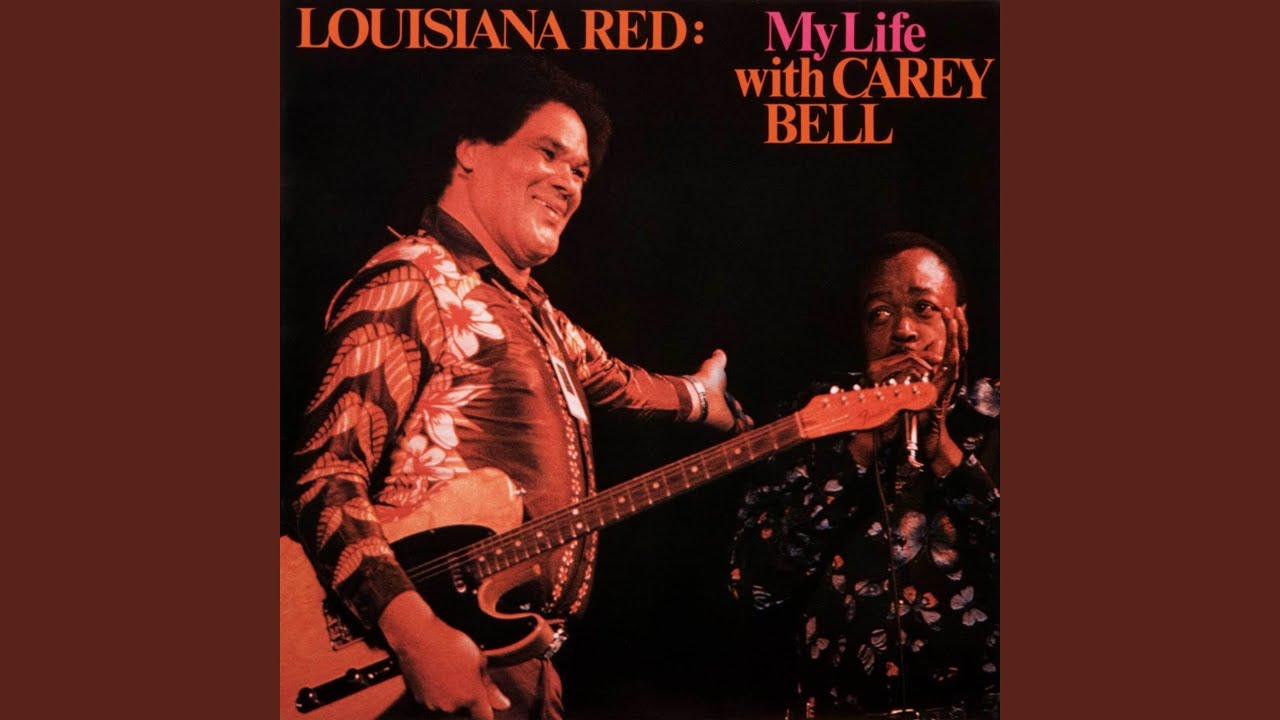 Keep on Slidin' the Blues (Live - American Folk Blues Festival 1983)