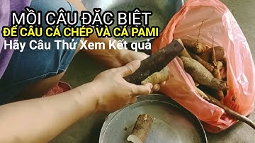Câu Cá Bằng Củ Sắn Luộc | Câu Cá Và Giả Ngoại P4