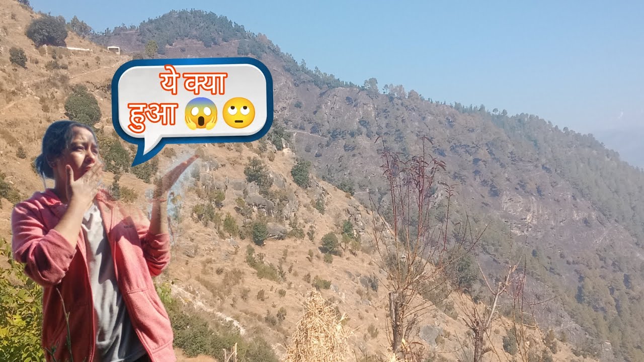 आजकल गांव में बच्चों की छुटियां❤️||एक ही दिन में पूरा जंगल जल गया😱🥺||