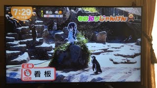 【けものフレンズ】グレープくんがめざましテレビに登場! グレープ君 検索動画10 【けものフレンズ】グレープくんがめざましテレビに登場! グレープ君 検索動画 10