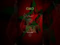 إن ينصركم الله فلا غالب لكم ❤️ #quran #qurankareem #shorts #morocco #fifaworldcup