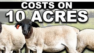 COST OF PREPPING 10 ACRES FOR SHEEP | USA Homesteading Farming Small Scale Sheep for Beginners