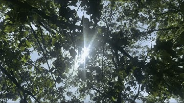 Light At the End of the Tunnel || A short film by Morgan Thornton