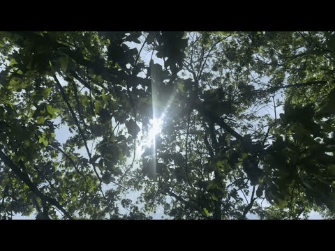 Light At the End of the Tunnel || A short film by Morgan Thornton